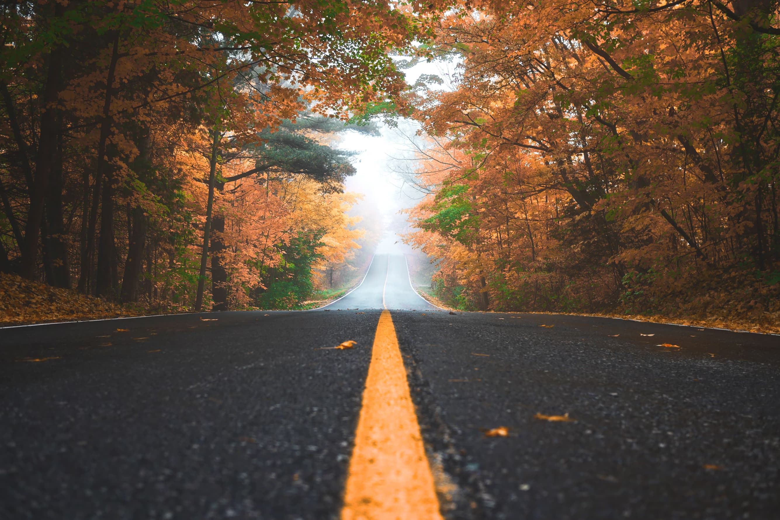 Grace That Empowers: Living with God’s Unfailing Strength