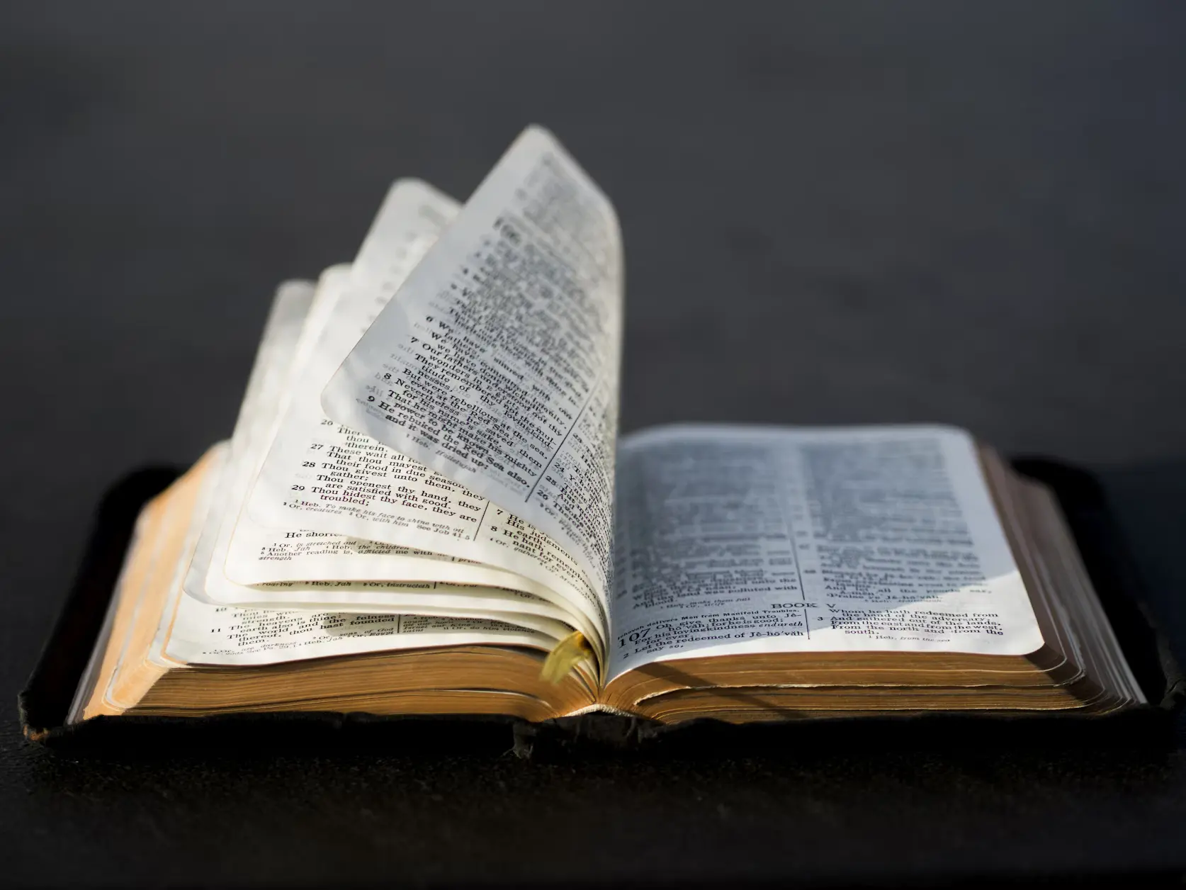 The Spirit of Knowledge: More Than Information